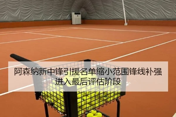 阿森纳新中锋引援名单缩小范围锋线补强进入最后评估阶段