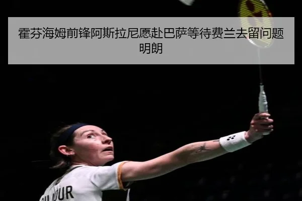 霍芬海姆前锋阿斯拉尼愿赴巴萨等待费兰去留问题明朗